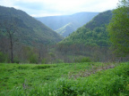 DSC00337