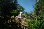 photo-0054