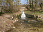 DSC00043 (67601 visites) DSC00043